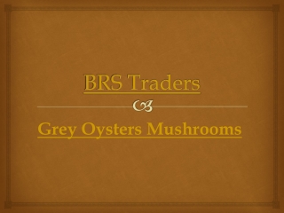Grey Oysters Mushrooms | Price/Cost in India Call: 9035020041