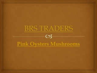 Pink Oysters Mushrooms | Price/Cost in India Call: 9035020041