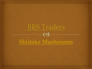 Shiitake Mushrooms | Dealer, Distributor, Wholesaler, Exporter, Suppliers