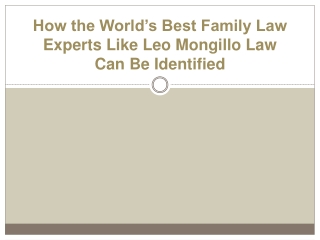 How the World’s Best Family Law Experts Like Leo Mongillo Law Can Be Identified