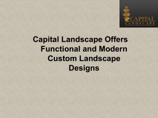 Capital Landscape Offers Functional and Modern Custom Landscape Designs