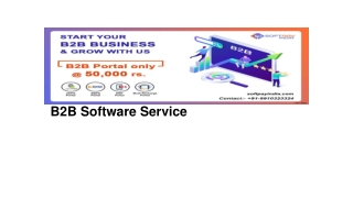 b2b software Service