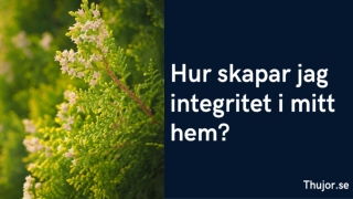 Hur skapar jag integritet i mitt hem