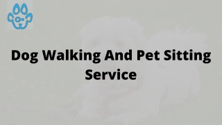 Dog Walking And Pet Sitting Service