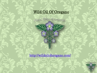 Certified Organic Oregano Oil