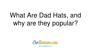 What Are Dad Hats, and why are they popular_