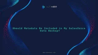 Should Metadata Be Included in My Salesforce Data Backup?