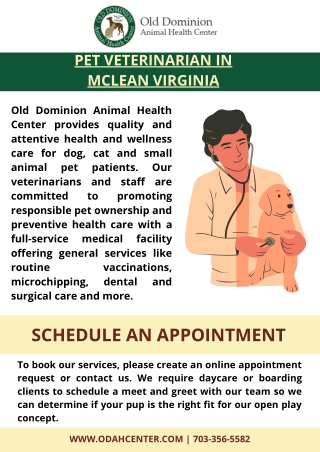 Pet Veterinarian in McLean Virginia