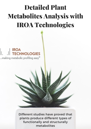 Discover more about plant metabolism | IROA Technologies