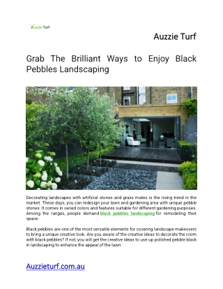 Grab The Brilliant Ways To Enjoy Black Pebbles Landscaping