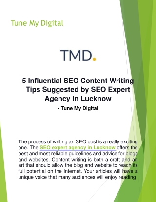 SEO Expert Agency in Lucknow