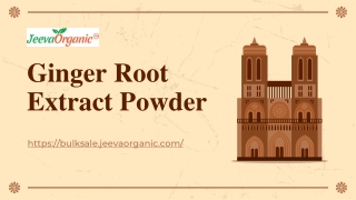 Ginger Root Extract Powder