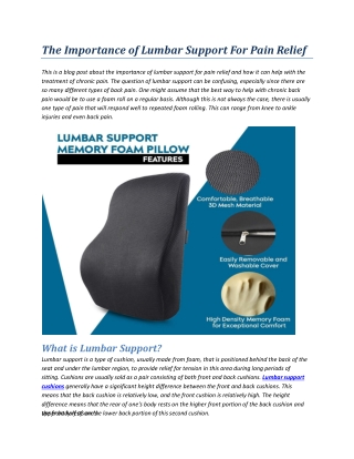 The Importance of Lumbar Support For Pain Relief