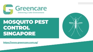 Choose us for Mosquito Pest Control in Singapore