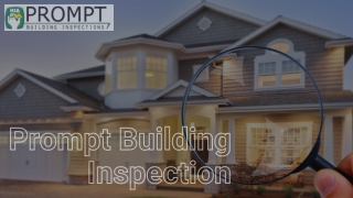 Timber Pest Inspection Perth - Prompt Building Inspection