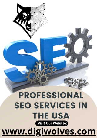Professional SEO Services In The USA | Top SEO Agency | Digiwolves