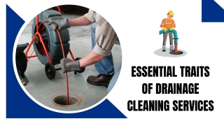 Drain Cleaning & Clog Removal Experts