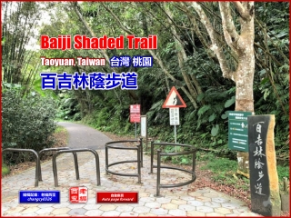 Baiji Shaded Trail, Taoyuan TW. (台灣 桃園 百吉林蔭步道)