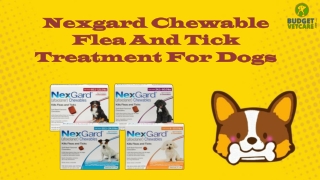 Nexgard Chewable For Dogs | Buy at Cheapest Price | Free Shipping