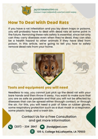 Pest Removal Louisiana | local Pest Control Louisiana