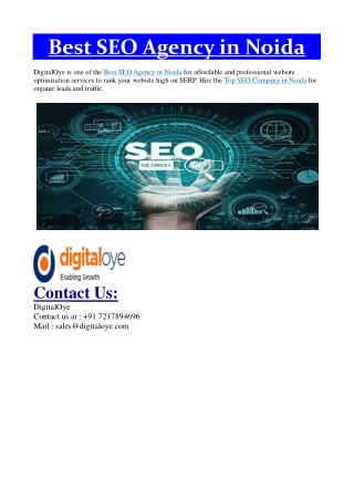 SEO Agency in Noida