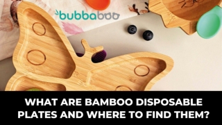 What Are Bamboo Disposable Plates and Where to find them