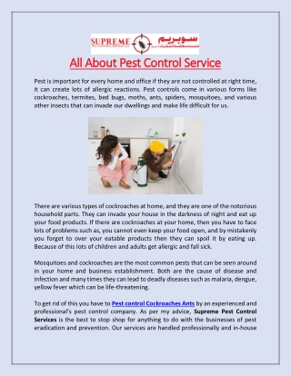 All About Pest Control Service
