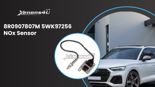 Continental 5WK9 7256 NOx Sensor