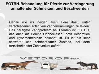 EOTRH-Behandlung für Pferde zur Verringerung anhaltender Schmerzen und Beschwerden
