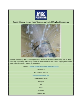 Repair Dripping Shower Head Western Australia