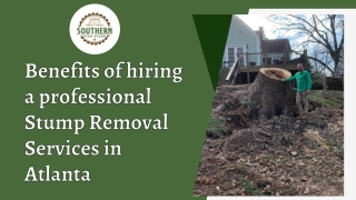 Benefits of hiring a professional Stump Removal in Atlanta