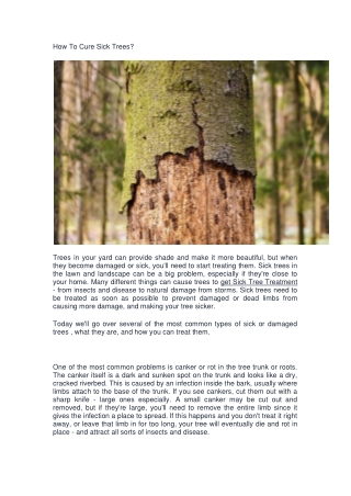 How To Cure Sick Trees-converted