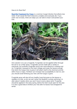 How to fix Root Rot