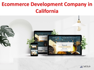 Ecommerce Development Company in California