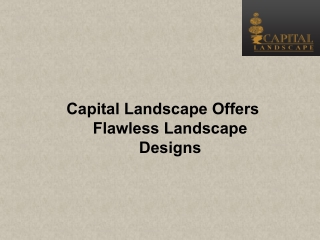 Capital Landscape Offers Flawless Landscape Designs