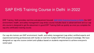 SAP EHS Training Course in Delhi