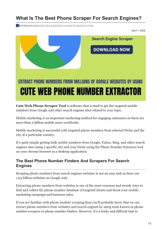 1What Is The Best Phone Scraper For Search Engines