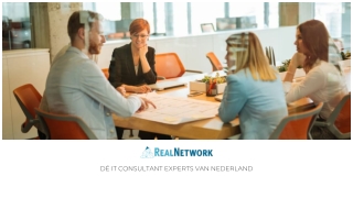 IT Consultant