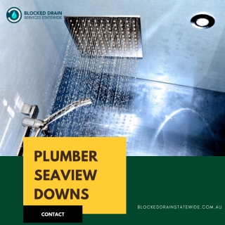 Plumber Seaview Downs | Blocked Drains Statewide