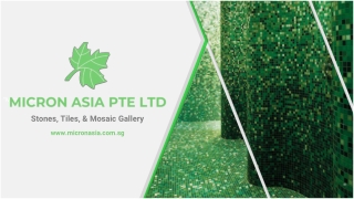 Bisazza mosaic tile Singapore distributors