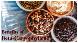 Benefits of Beta-Caryophyllene - A Very Common Cannabinoid