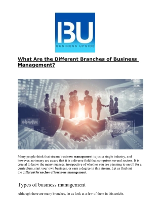 What Are the Different Branches of Business Management