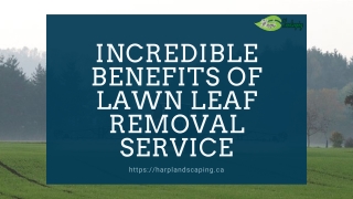 Incredible Benefits Of Lawn Leaf Removal Service