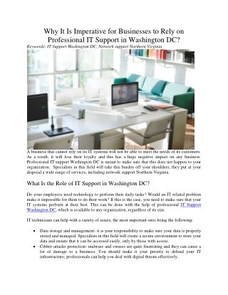 Why It Is Imperative for Businesses to Rely on Professional IT Support in Washington DC