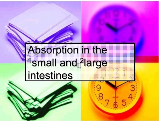 Nutrition in Humans (part 2): Absorption & Assimilation