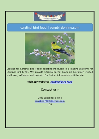cardinal bird feed | songbirdonline.com