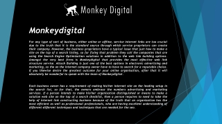 Monkeydigital Reviews