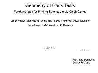Geometry of Rank Tests Fundamentals for Finding Somitogenesis Clock Genes Jason Morton, Lior Pachter, Anne Shiu, Bernd S