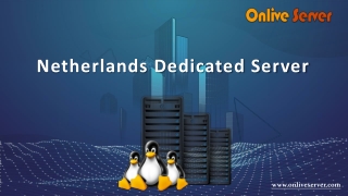 Boost your website with Netherlands Dedicated Server