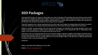 Speed SEO